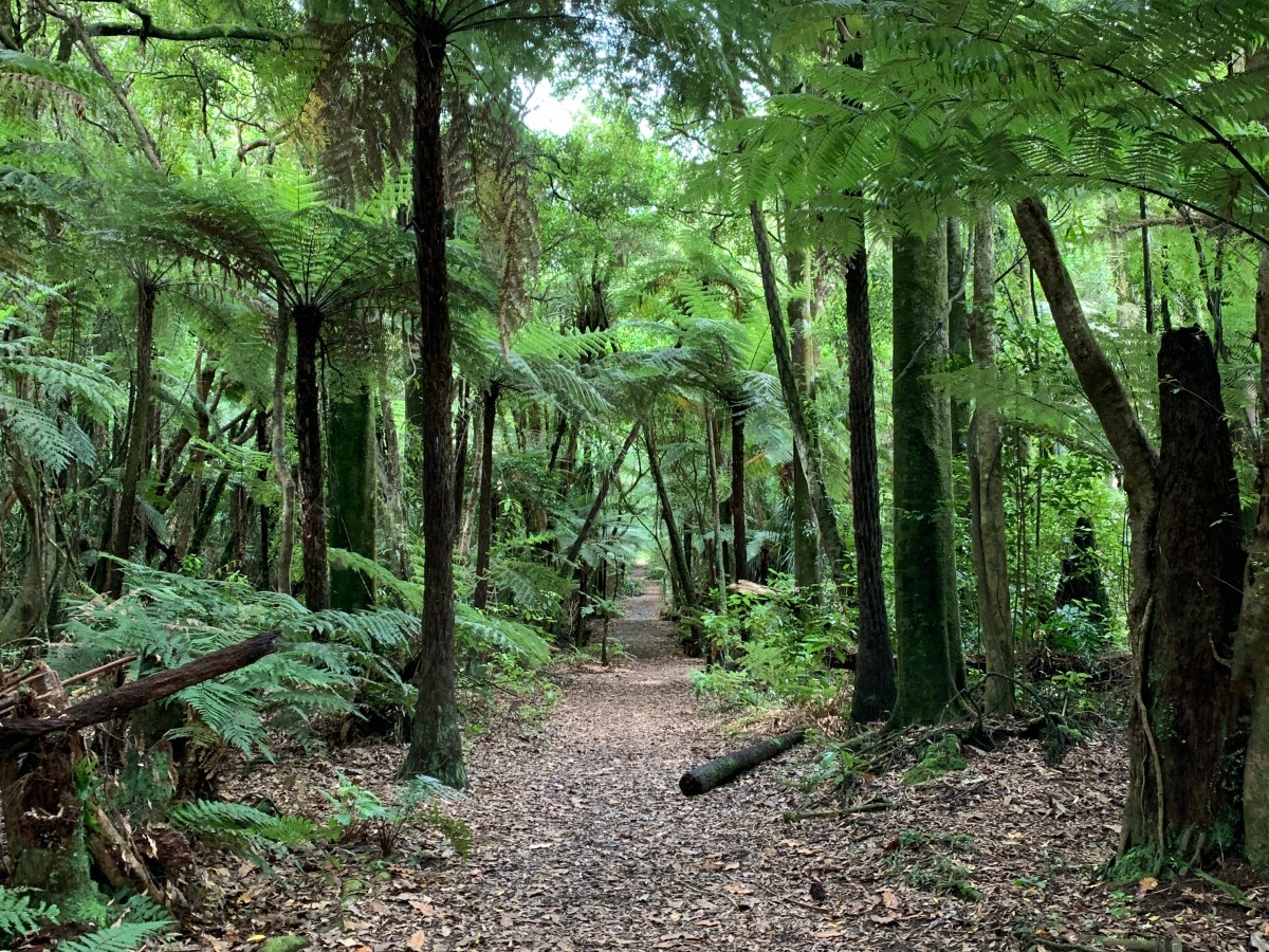 Baby’s First Overnight&nbsp;Tramp!